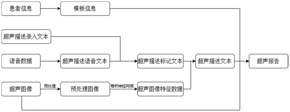 超聲報告生成方法、系統(tǒng)、設(shè)備、存儲介質(zhì)和程序與流程