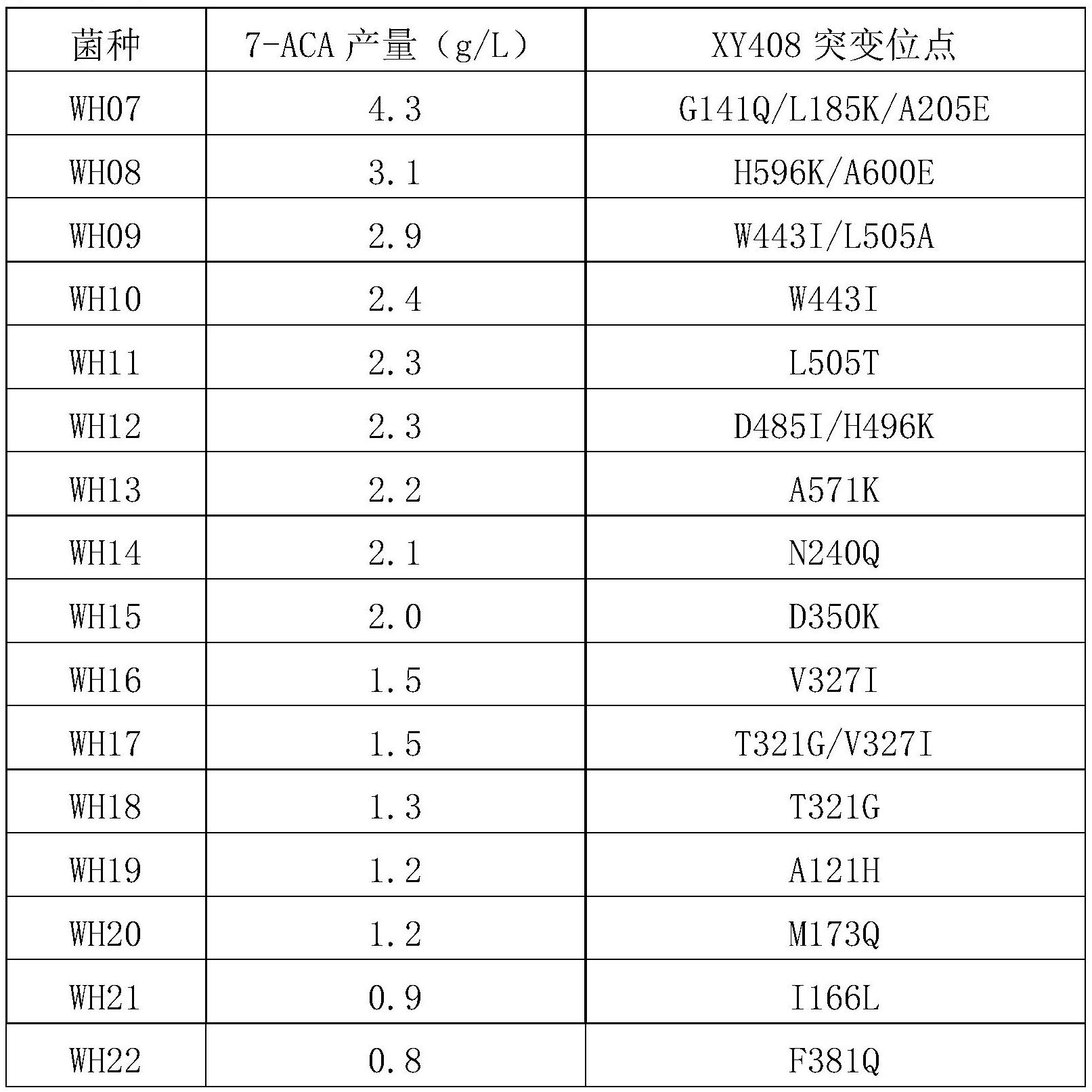 7-氨基頭孢烷酸生產菌株制備方法及應用