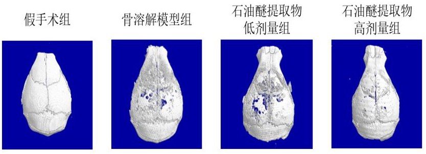 一種白花地膽草提取物的制藥用途