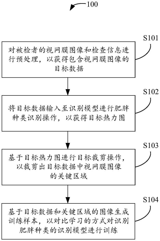 一種用于肥胖種類的識別模型的訓練方法及相關(guān)產(chǎn)品與流程