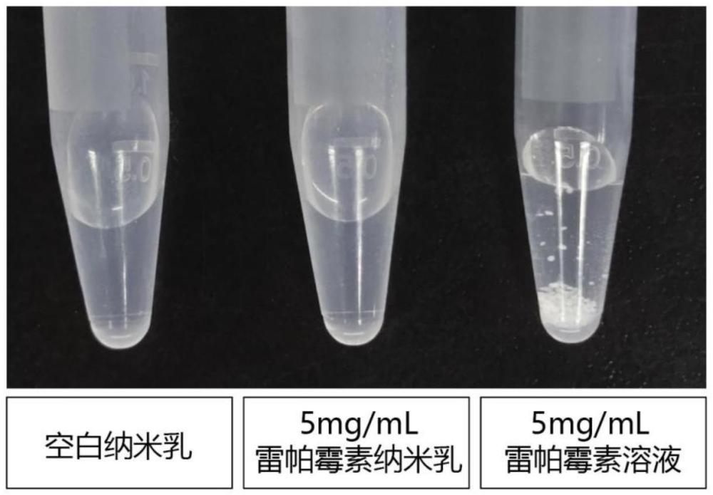 一種用于治療眼外傷并發(fā)癥的局部給藥型藥物及其制備方法