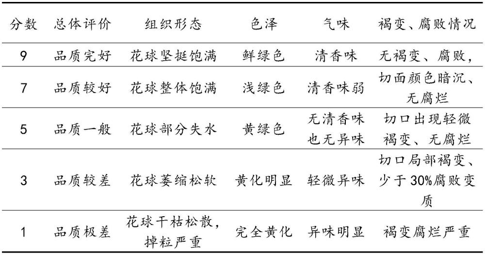 一種食品包裝袋及其制備方法與流程