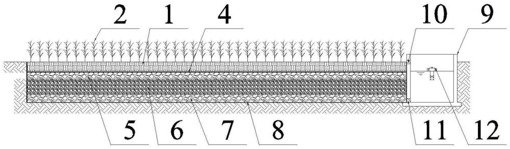 凈水型生態(tài)農(nóng)田的制作方法