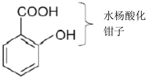 抗痤瘡防曬組合物、抗痤瘡防曬組合物的制備方法以及抗痤瘡防曬組合物的用途與流程