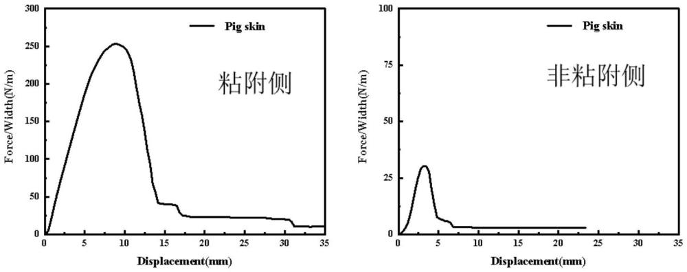 一種Janus水凝膠粘合劑及其制備方法與應用