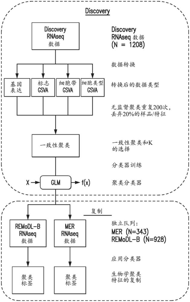 預(yù)測(cè)淋巴瘤對(duì)藥物的反應(yīng)性的方法以及治療淋巴瘤的方法與流程