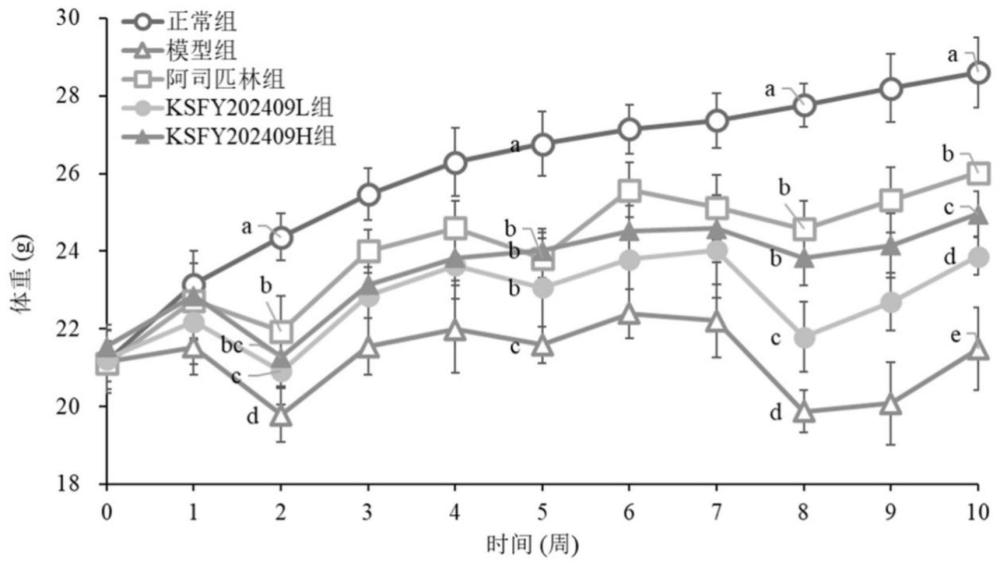 植物乳植桿菌KSFY202409及其用于結(jié)直腸癌的制作方法