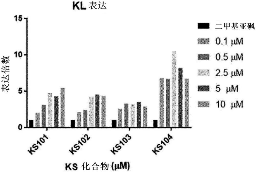 誘導(dǎo)抗老化基因klotho的表達(dá)的新型化合物的制作方法