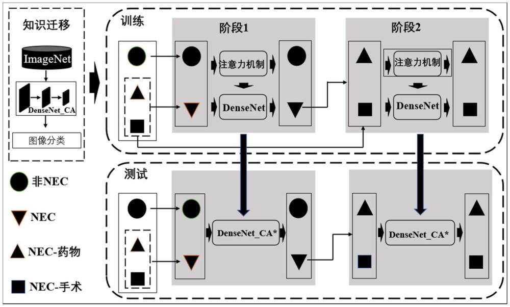 一種新生兒壞死性小腸結腸炎診斷系統(tǒng)