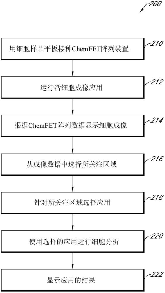 使用基于CHEMFET傳感器陣列的系統(tǒng)進(jìn)行細(xì)胞分析的制作方法