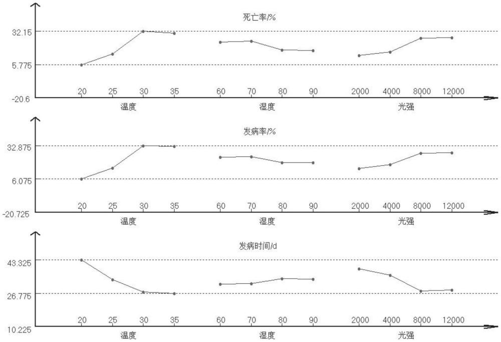 一種苗期馬尾松抗松材線蟲病精準鑒定方法與流程