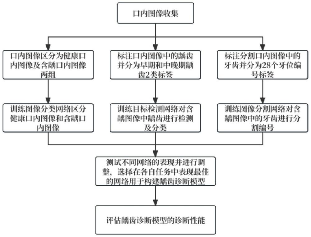 基于深度學(xué)習(xí)的彩色圖像早期齲病診斷模型