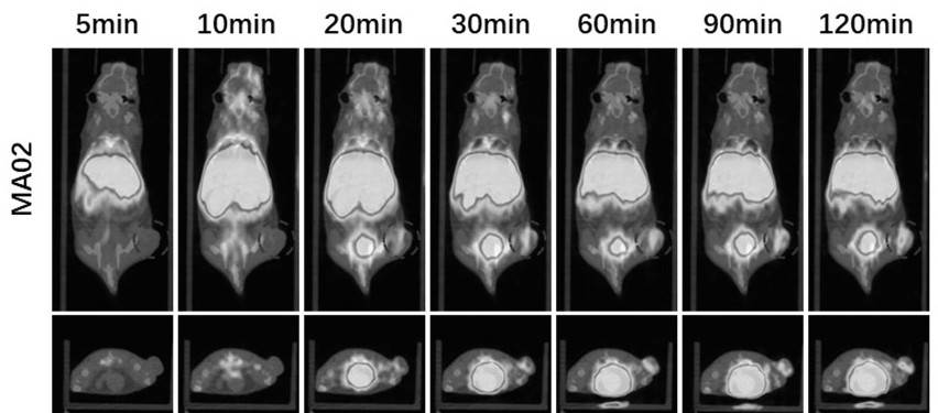 一種糖核酸分子影像探針及其制備方法和使用方法