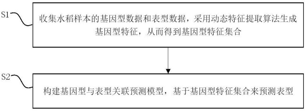 一種基于機器學(xué)習(xí)的水稻基因型與表型關(guān)聯(lián)預(yù)測的方法