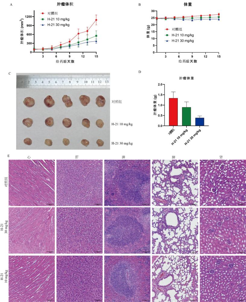 一種靶向EGFR突變的二甲基氧膦取代的苯胺嘧啶衍生物、其制備方法、用途及其制成的藥物