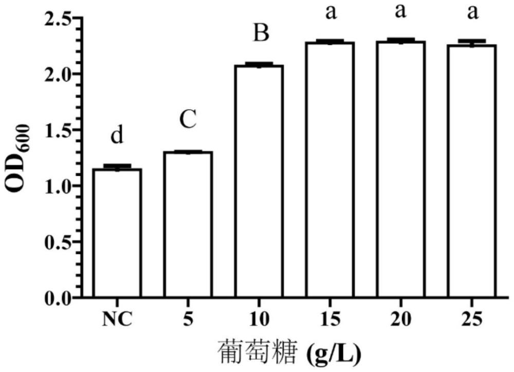 一種丁酸梭菌培養(yǎng)基及其應(yīng)用的制作方法