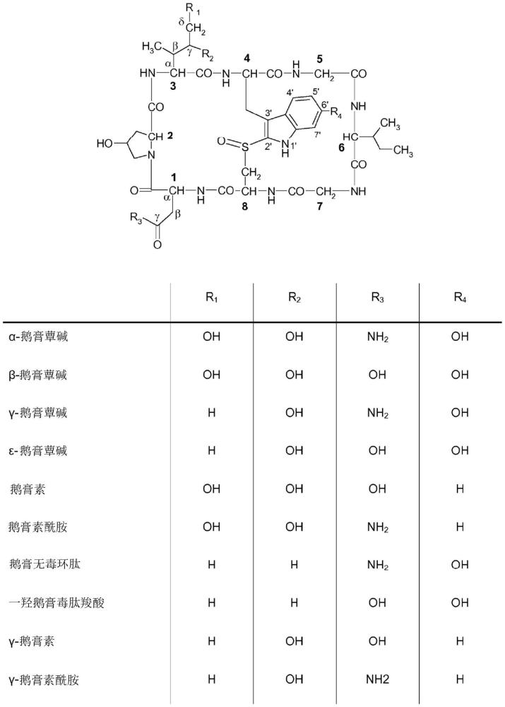 提高鵝膏蕈毒素-抗體綴合物的治療指數(shù)的方法與流程