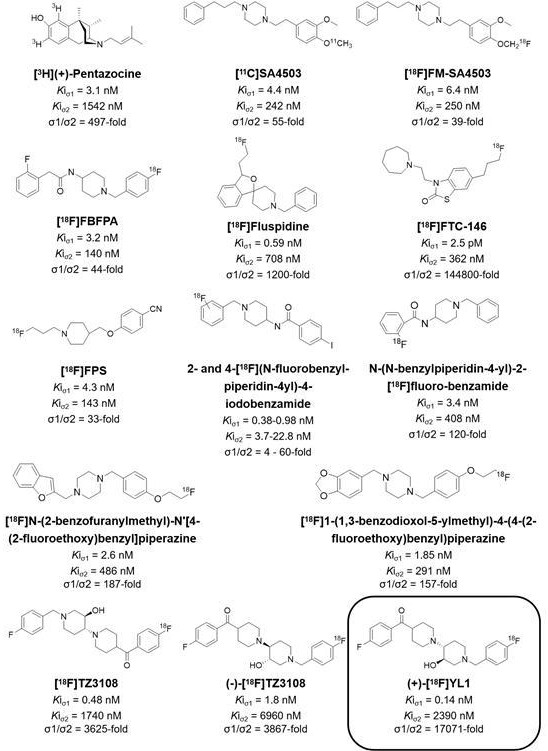 一種靶向Sigma-1受體的正電子發(fā)射斷層顯像探針用于脆性X綜合征診斷的方法