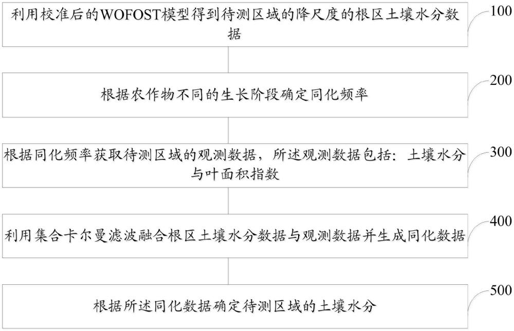 一種考慮物候的聯(lián)合同化策略估算土壤水分的方法