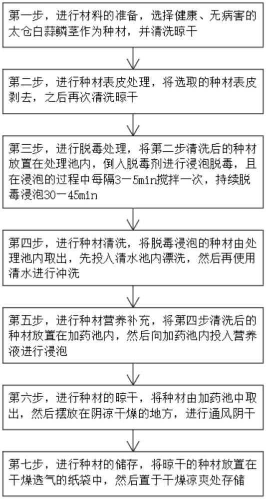 一種太倉白蒜氣生鱗莖脫毒復(fù)壯方法