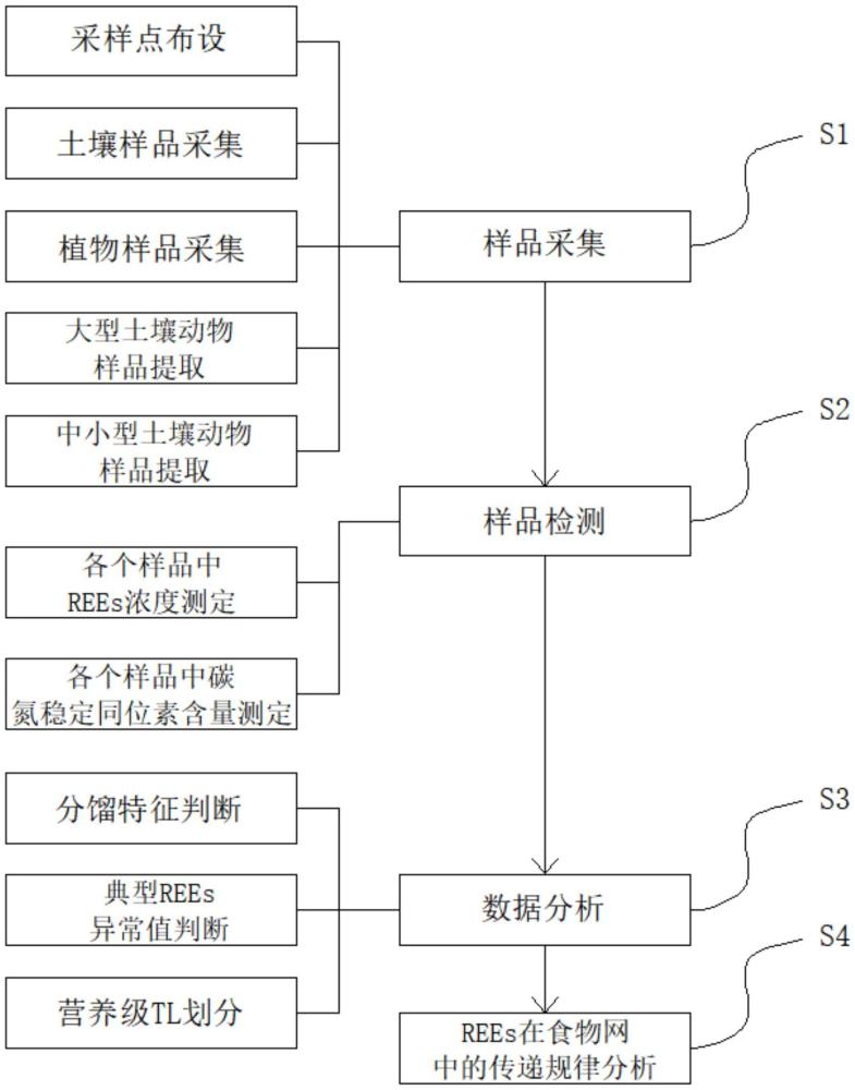 REEs在礦區(qū)周邊土壤食物網(wǎng)中富集與傳遞規(guī)律的確定方法與流程