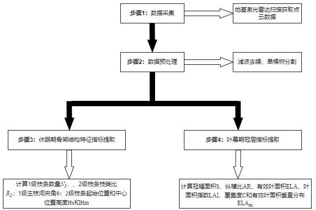 一種利用點云定量評估桃樹樹形特征的方法