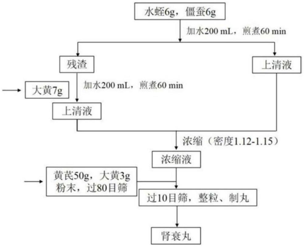 中藥組合物在制備治療CKD藥物中的應(yīng)用