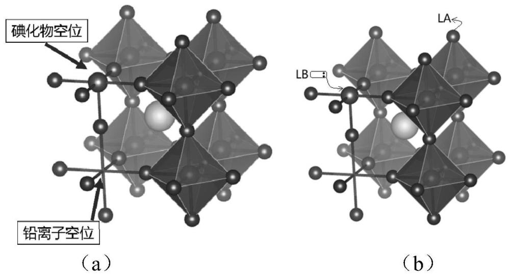 雙性分子及其制備方法和應(yīng)用與流程