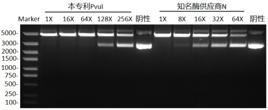 一種限制性內(nèi)切酶PvuI的生產(chǎn)方法與流程