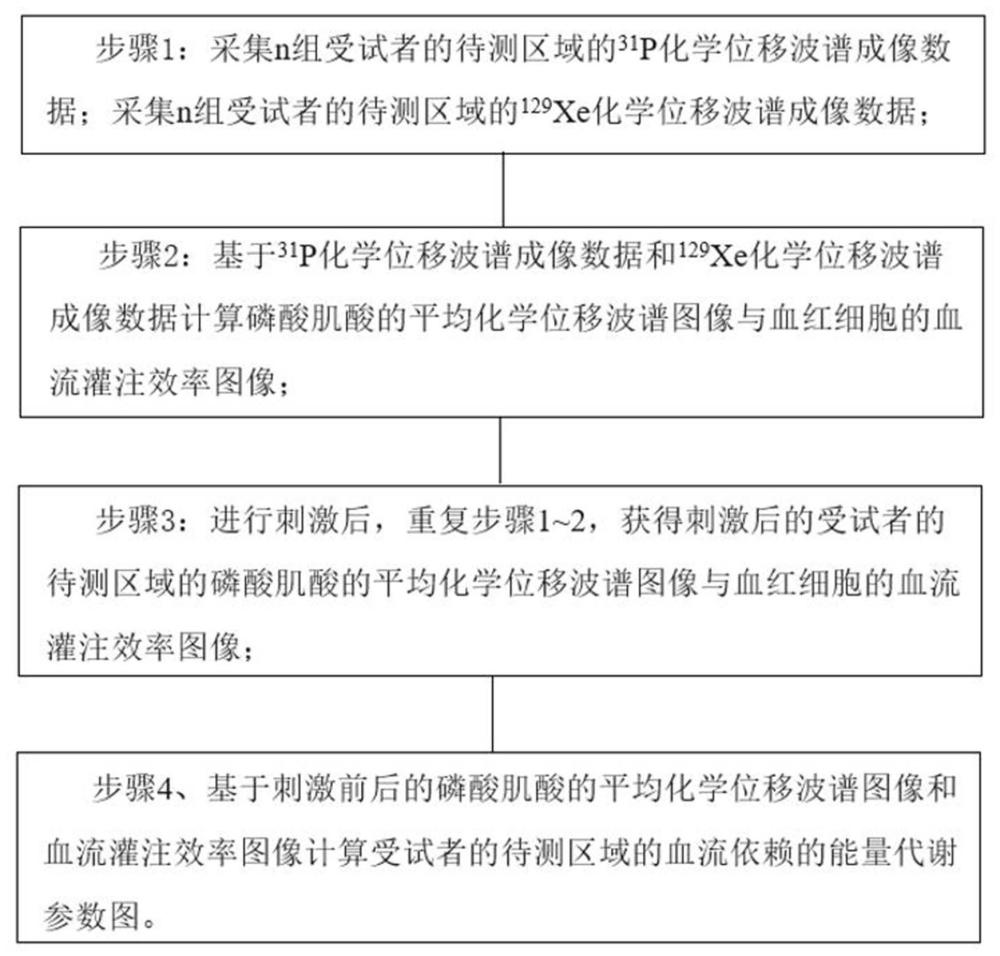 一種用于評估血流依賴能量代謝的多核磁共振方法及裝置