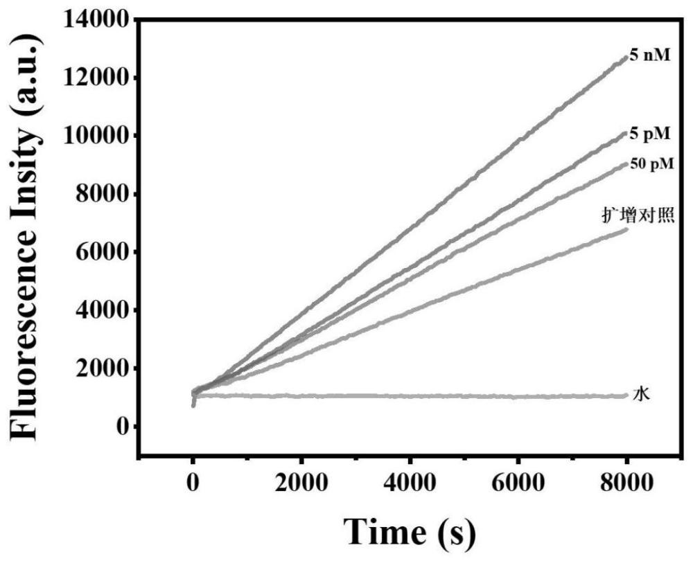 基于CRISPR/Cas12a結(jié)合萬能crRNA進(jìn)行多種核酸檢測的試劑盒