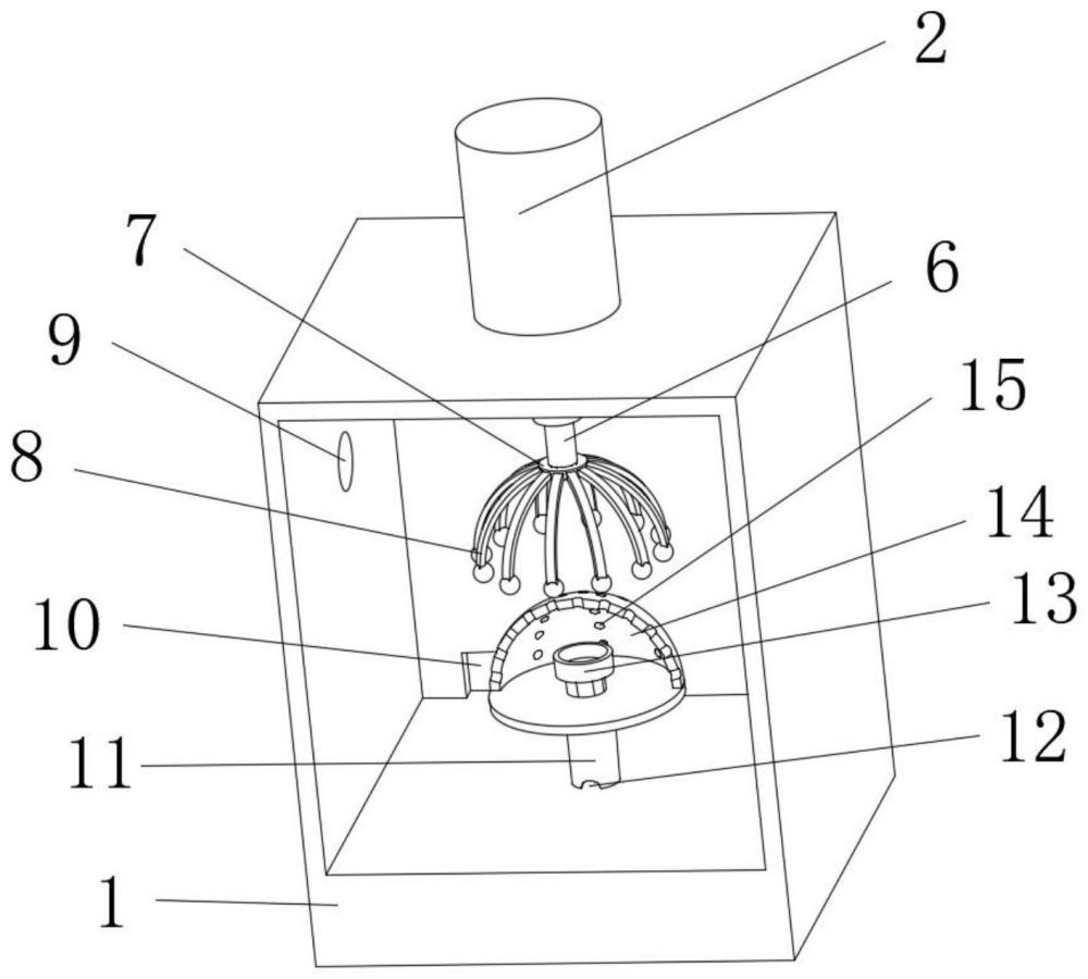 一種假發(fā)內(nèi)套清洗裝置的制作方法