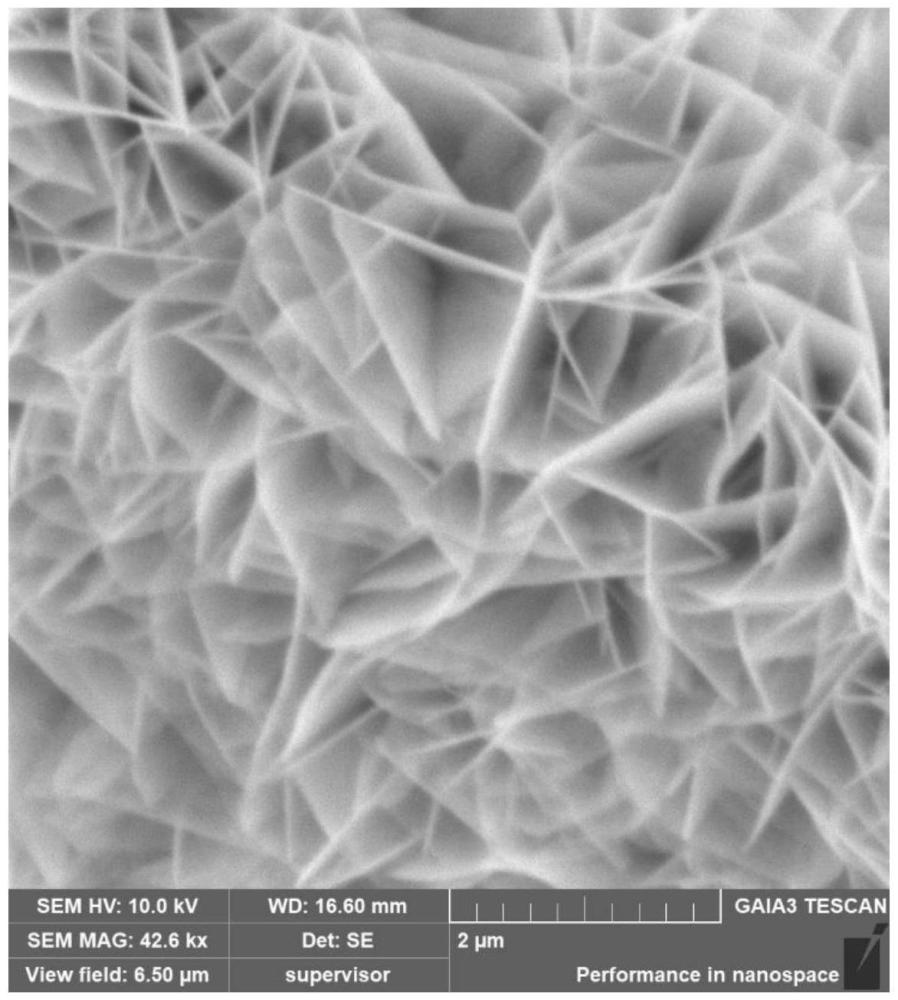 多元素摻雜鎳鐵羥基氧化物析氧電極的制備方法