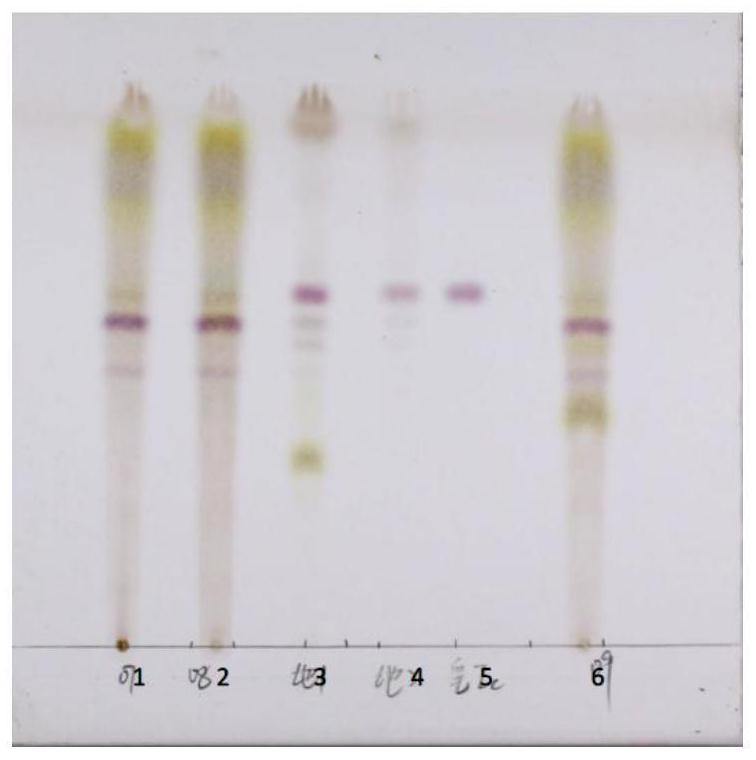一種鑒別阿珍養(yǎng)血口服液中地膚子的方法與流程