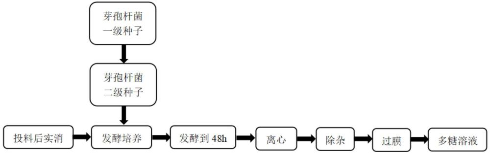 一種產(chǎn)保濕抗炎多糖的芽孢桿菌及其應(yīng)用的制作方法