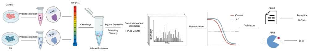 基于熱蛋白組學(xué)技術(shù)的D-蛋白質(zhì)規(guī)?；Y選方法