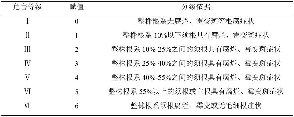 一種防治文冠果根腐病的生防菌劑及應(yīng)用的制作方法