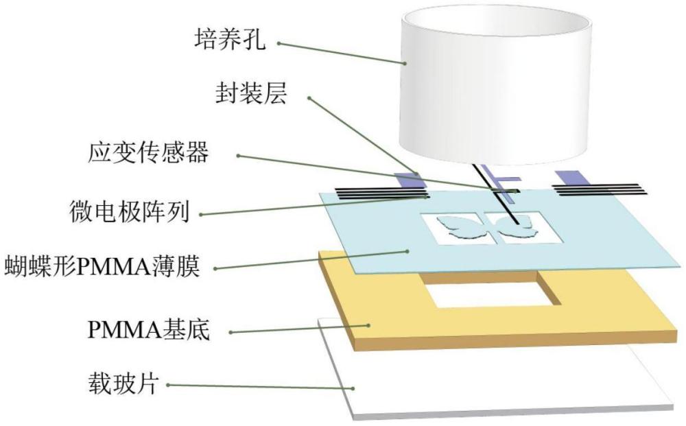 一種應變傳感裝置及方法