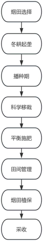 一種烤煙品種河洛1號(hào)的種植管理方法與流程