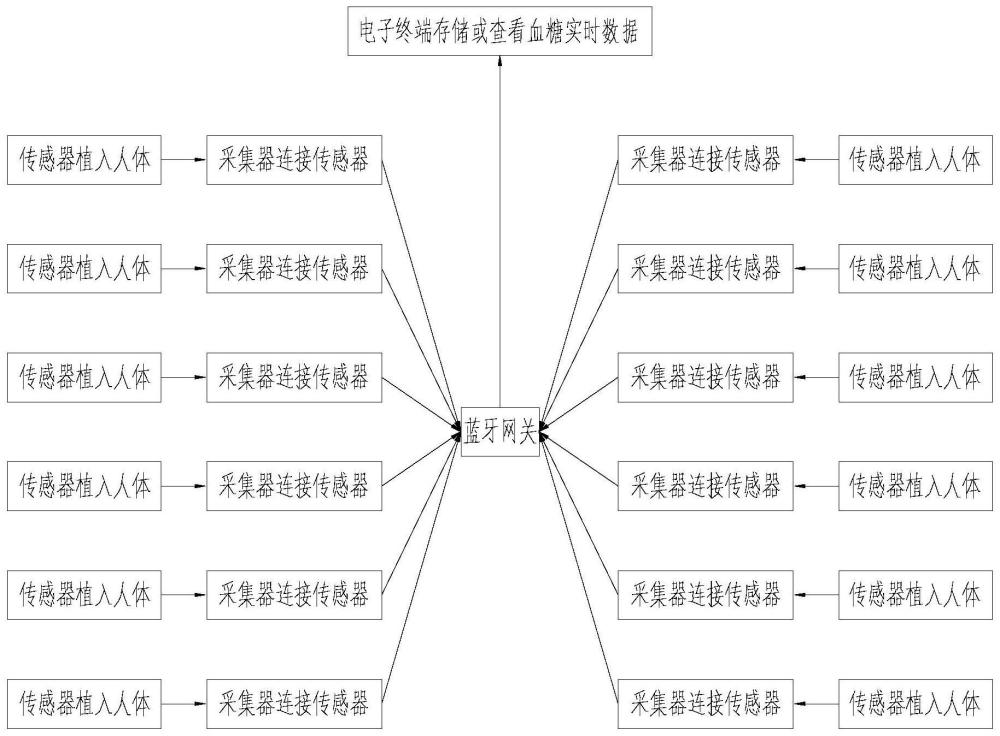 低功耗多連接持續(xù)葡萄糖監(jiān)測(cè)系統(tǒng)的制作方法