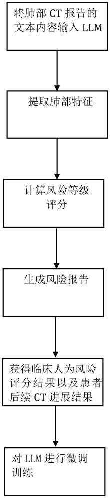 一種基于大語(yǔ)言模型的肺部CT報(bào)告風(fēng)險(xiǎn)評(píng)估方法與流程