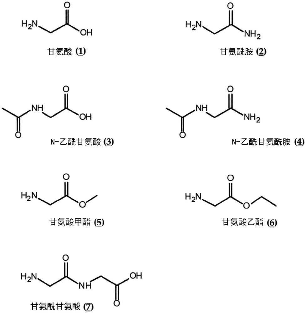 包含酰胺化氨基酸的促進(jìn)膠原蛋白生成的組合物的制作方法