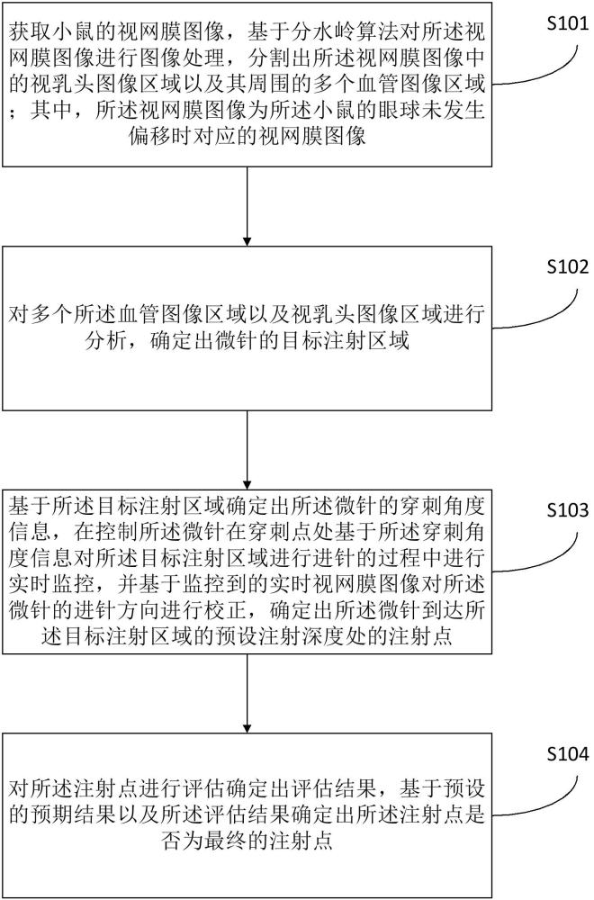 一種動(dòng)物視網(wǎng)膜注射點(diǎn)的定位方法、裝置、電子設(shè)備及存儲(chǔ)介質(zhì)與流程