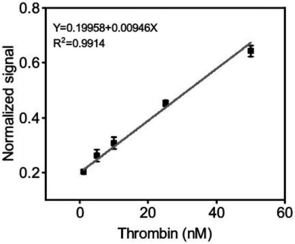 一種基于配對接頭結(jié)構(gòu)設(shè)計的增強型熵驅(qū)動DNA非共價催化反應用于凝血酶檢測的新方法