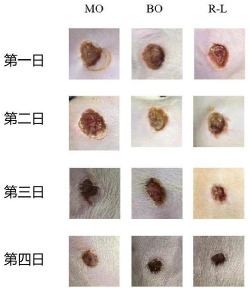 一種漏蘆花軟膏劑及其制備方法與應(yīng)用