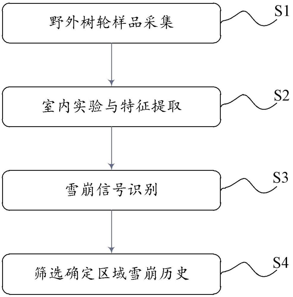 一種基于樹木年輪的區(qū)域雪崩歷史重建方法