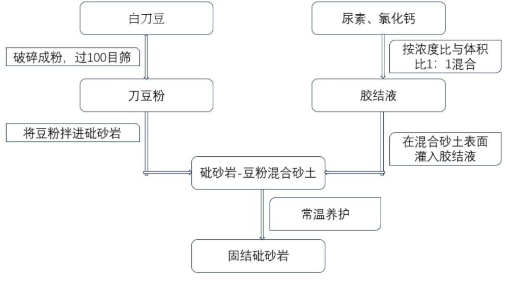 一種脲酶誘導(dǎo)碳酸鈣沉淀固化砂土的方法