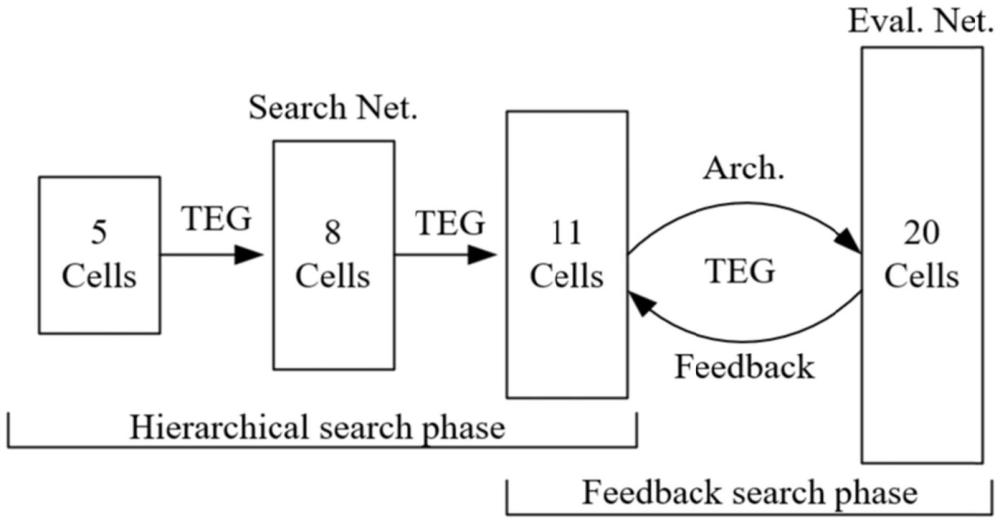 基于分層-反饋機(jī)制和TEG引導(dǎo)的可微神經(jīng)架構(gòu)搜索方法