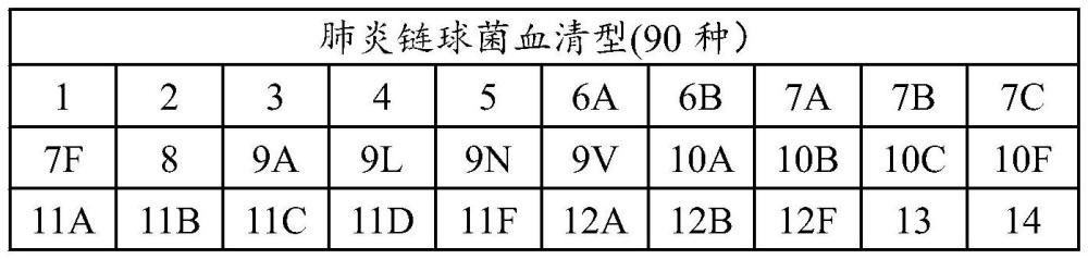 一種檢測肺炎鏈球菌血清型的探針組、方法和應(yīng)用與流程