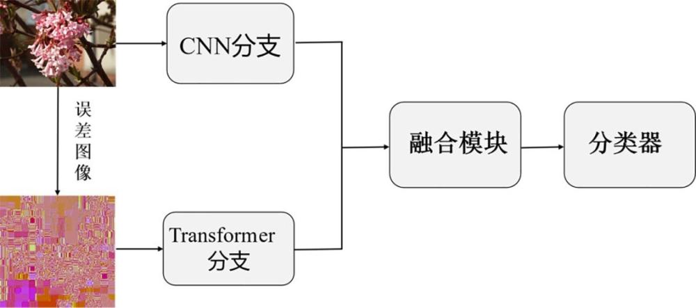 基于雙分支網(wǎng)絡(luò)的高質(zhì)量因子JPEG圖像隱寫分析方法